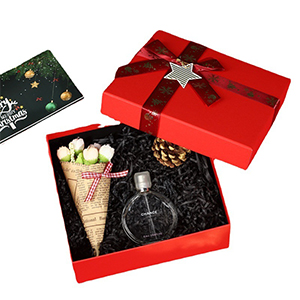 Christmas Holiday Gift Boxes