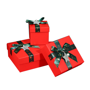 Christmas Holiday Gift Boxes