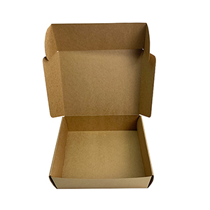 Small Treat Brown Box