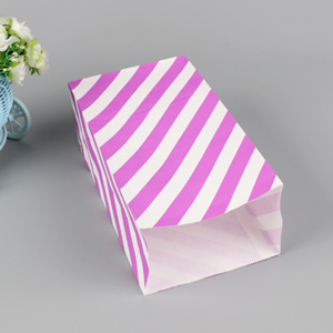 Eco Friendly Packaging Bag